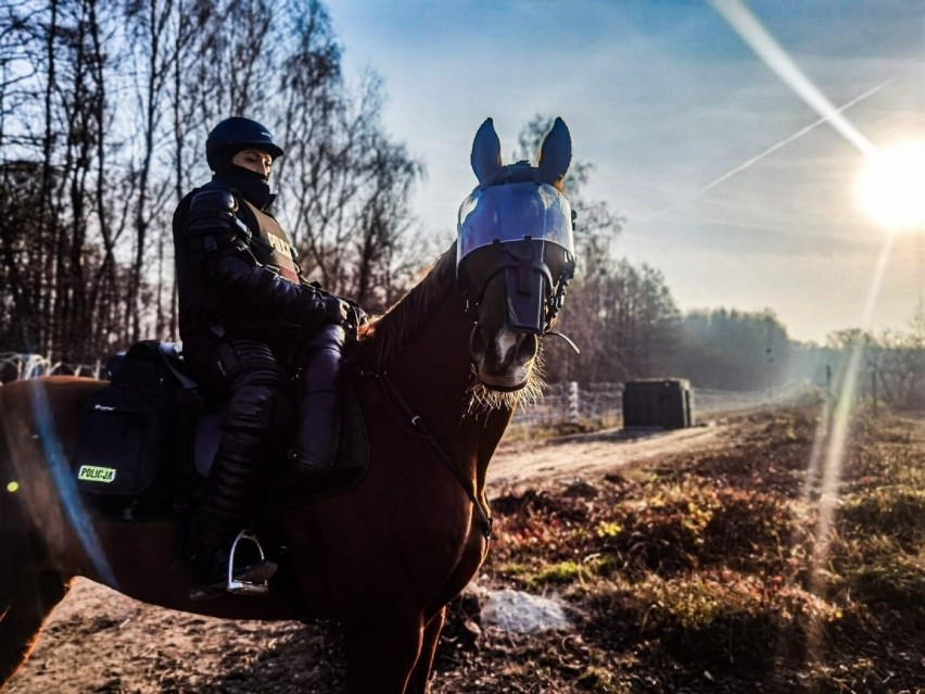 Kilka tysięcy policjantów na granicy. Zobacz jak wygląda ich codzienna praca [ZDJĘCIA]