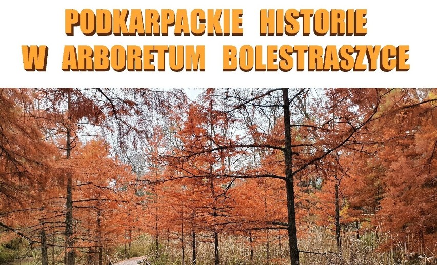 Nasz Patronat. 7 listopada podkarpackie historie w Arboretum Bolestraszyce