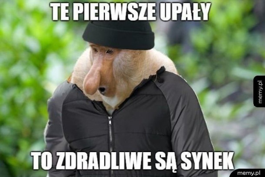 No, owszem, można narzekać. Ale co to da? Upał i żar z nieba...