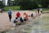 Akcja Czysta Rospuda w Filipowie. Kilkanaście osób porządkowało plażę Kładzie nad jeziorem Rospuda [Zdjęcia] 