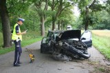 Kierowca zasnął za kierownicą i uderzył w drzewo [zdjęcia]
