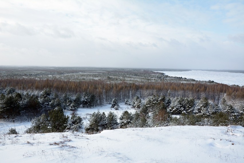 Uroki zimy na Pustyni Błędowskiej. Śnieg przykrył piasek