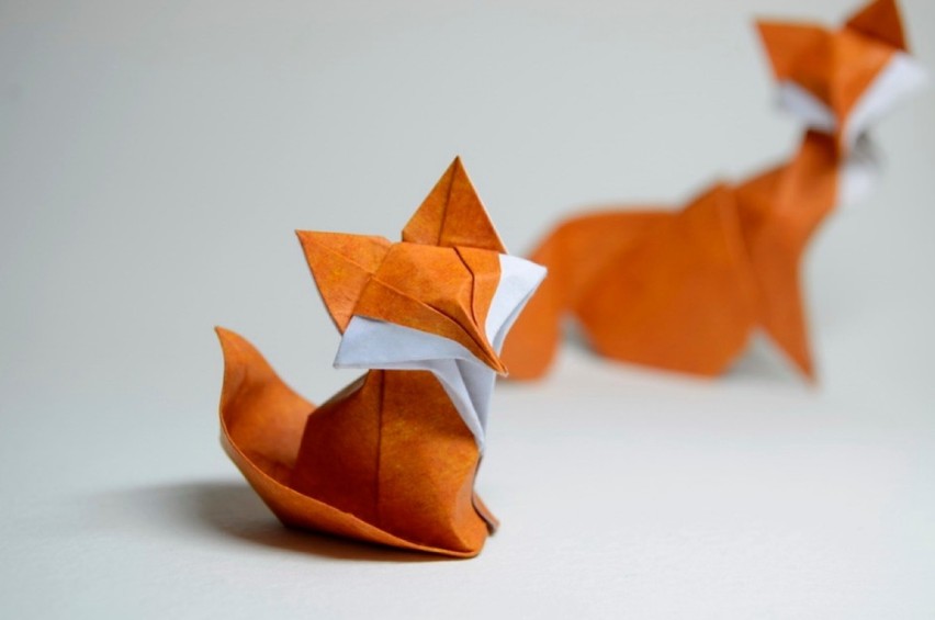 Origami Quyeta