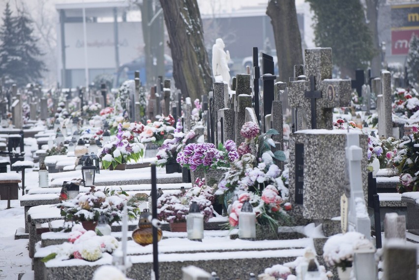 Cmentarz Parafialny w Sieradzu pod śniegiem. Za bramą wielkiej ciszy ZDJĘCIA