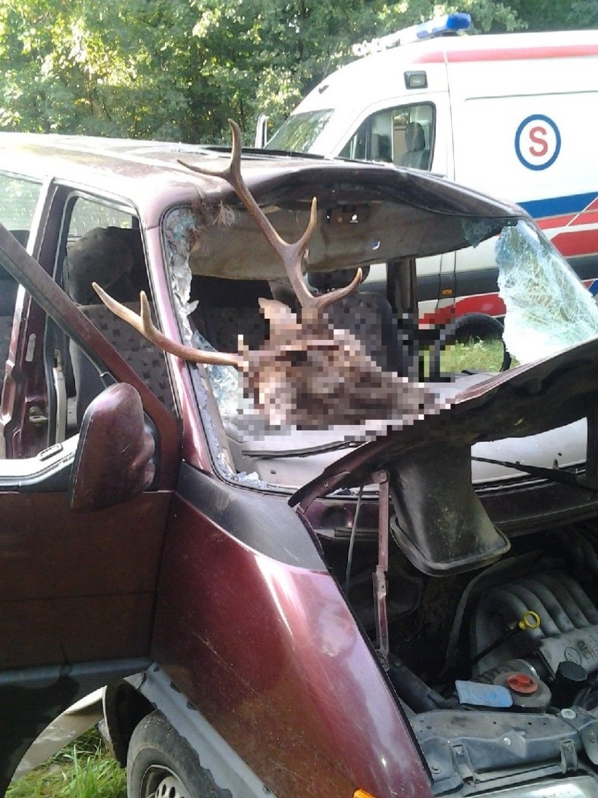 VW Transporter potrącił jelenia. Cztery osoby trafiły do szpitala [ZDJĘCIA] 