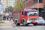 Malbork. "Bomba w Urzędzie Skarbowym". Ktoś przekazał taką groźbę, doszło do ewakuacji 