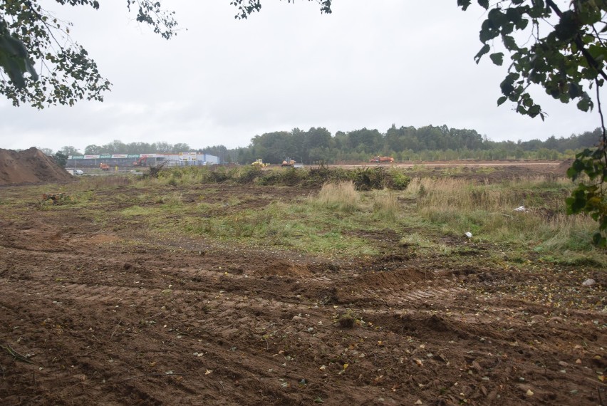 Budują park z Castoramą pod Stargardem. Oczyścili już niemal cały teren NOWE ZDJĘCIA