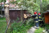 Halny szaleje na Podhalu [ZDJĘCIA]