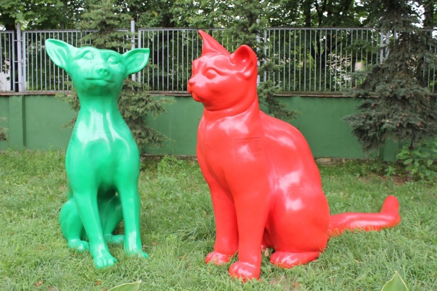 Wypatrujcie zielonego psa i czerwonego kota, i róbcie...