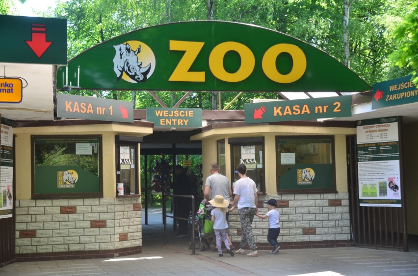 Kasjerki okradały poznańskie zoo