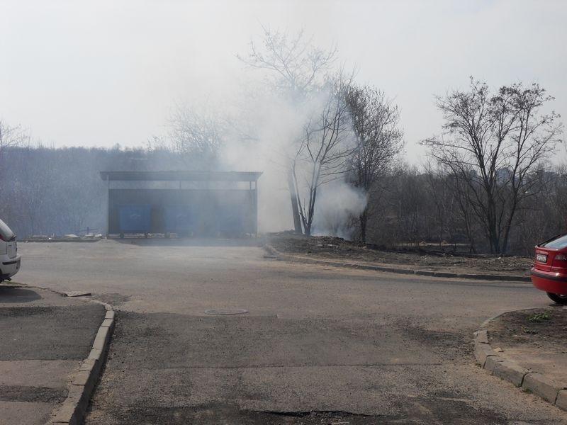 Pożar w sosnowieckiej dzielnicy Zagórze, przy ulicy Długosza i DK 94