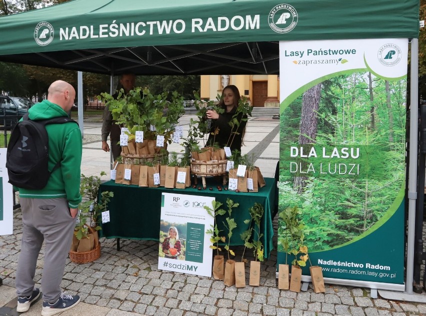 Akcja #sadziMy na Rynku w Radomiu z minister Anną Moskwą. Mieszkańcy mogli bezpłatnie otrzymać sadzonki drzew. Zobaczcie zdjęcia