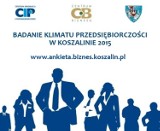 Badanie klimatu przedsiębiorczości w Koszalinie