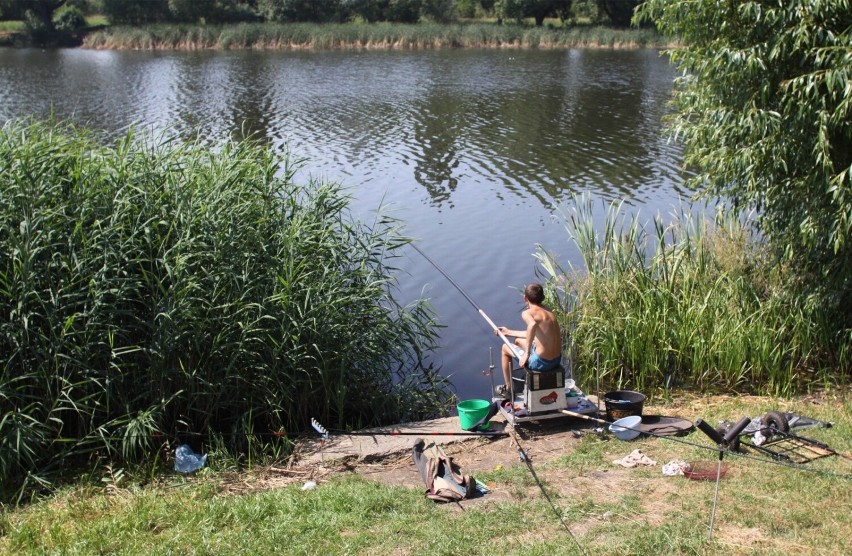 W Polsce łowić ryby mogą tylko posiadacze karty wędkarskiej...