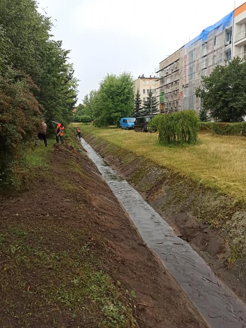 Koryto rzeki Baby zarasta. Jest czyszczone