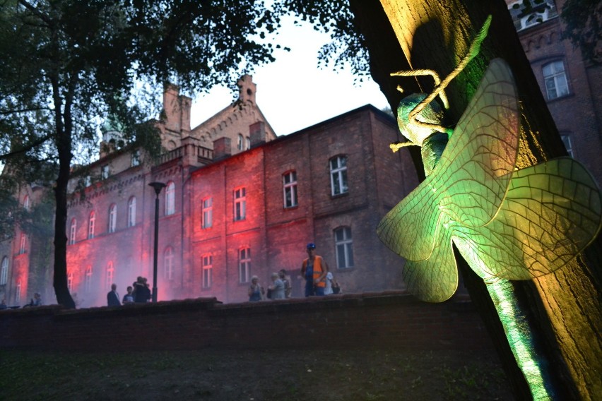 Animalium 2017 w Rybniku na Juliuszu. Szpital opanują pająki i robaki