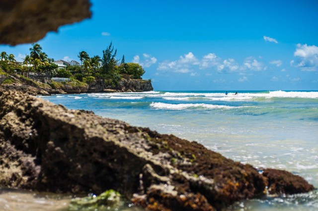 Plaże Barbadosu uchodzą za jedne z najpiękniejszych na świecie. Wyspę otacza też wiele raf koralowych, wśród których można nurkować.
