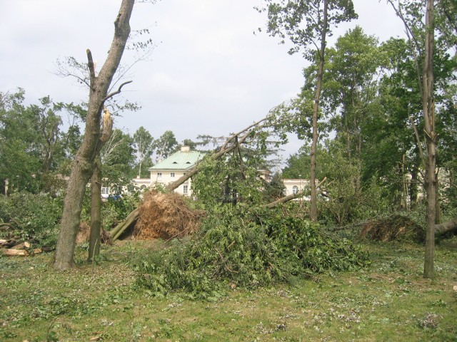 W parku po przejściu trąby powietrznej zniszczone zostały niemal wszystkie drzewa. Teraz park ma zostać odtworzony