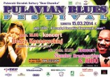 Pulavian Blues Festival - ruszyły zapisy na przegląd