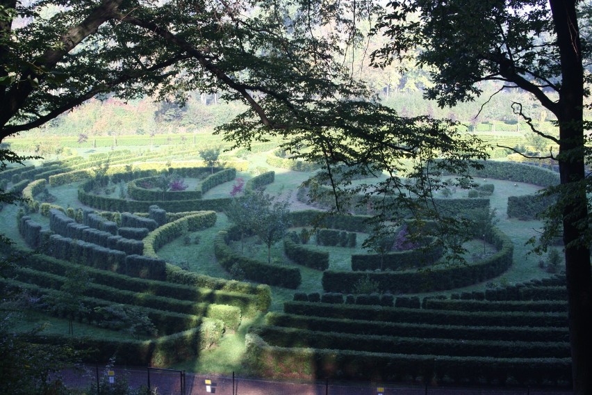 Arboretum Bramy Morawskiej idealne na jesienne spacery