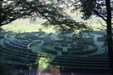 Arboretum Bramy Morawskiej idealne na jesienne spacery ZDJĘCIA