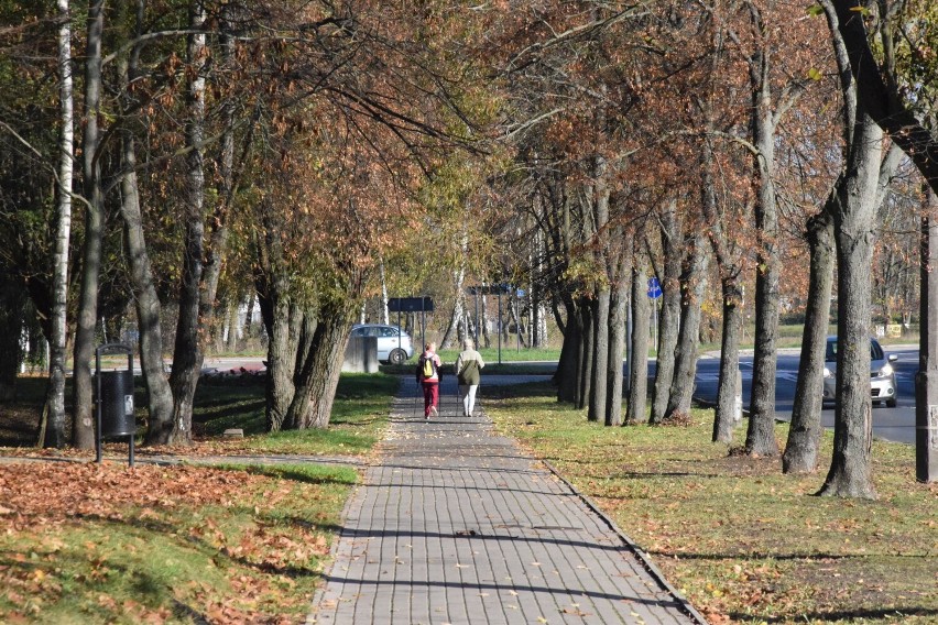 Jesienny spacer w Parku Śremskich Odlewników. To idealne miejsce do spędzenia wolnego czasu na Jezioranach [zdjęcia]