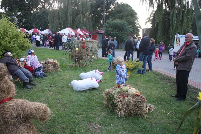 Święto porzeczki dożynki gminne Irządze 2014