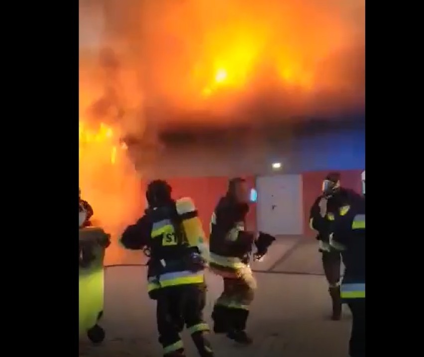 Pożar w Pepco w Działoszynie. Straty są bardzo duże. Straż podejrzewa podpalenie ZDJĘCIA, FILMY