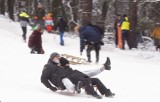 Tłumy ludzi i śnieżne szaleństwo na Górce Tatrzańskiej. Sanki, narty, jabłuszka. Działo się! 