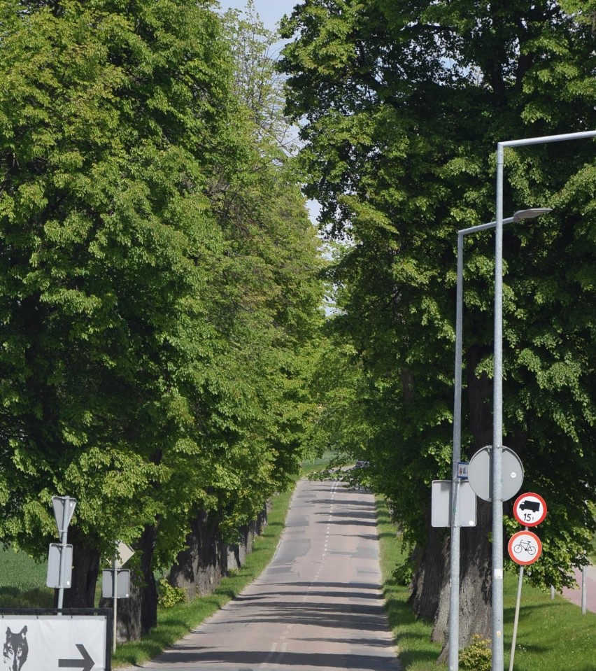 Ulica Dąbrówki w Malborku