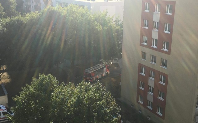 Zielonogórscy strażacy przez balkon wchodzili do jednego z mieszkań przy ul. Węgierskiej. Pomoc wezwali zaniepokojeni o starszą kobietę mieszkańcy, którzy nie mieli z nią kontaktu.

Jak poinformował dyżurny strażaków, pod blok przy ul. Węgierskiej podjechał wóz z drabiną. – Mieszkańcy powiadomili policję o tym, że nie mają kontaktu ze starszą kobietą – mówi dyżurny zielonogórskich strażaków. 

Strażacy do mieszkania weszli przez balkon. Kobieta została odwieziona do szpitala. 

Zobacz wideo: STRAŻACY URATOWALI W GNIEŻNIE NIEPRZYTOMNĄ KOBIETĘ



