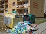 Śmieci w Bytomiu Miechowicach. Brakuje pojemników na plastik