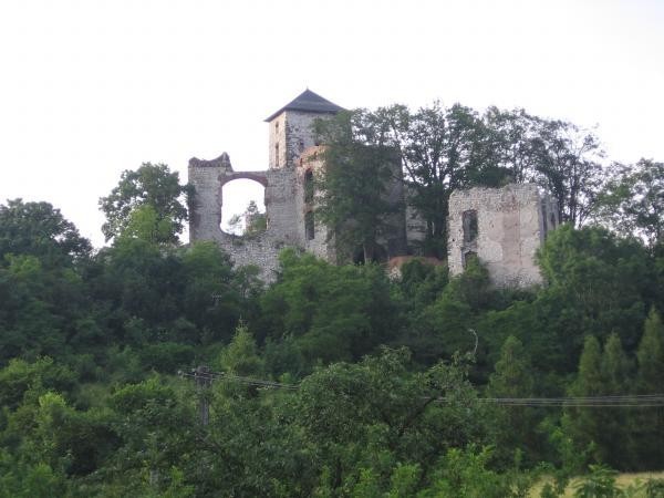 Zamek Tenczyn w Rudnie