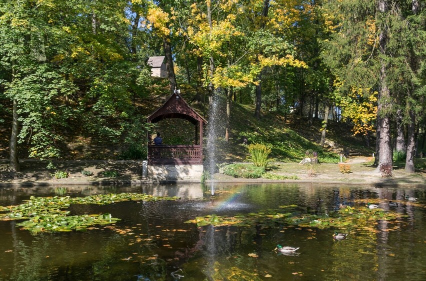 Park zdrojowy to miejsce, które warto odwiedzić