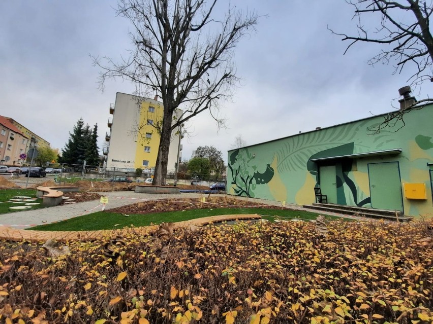 Gorzów postanowił stworzyć pierwszy park kieszonkowy....