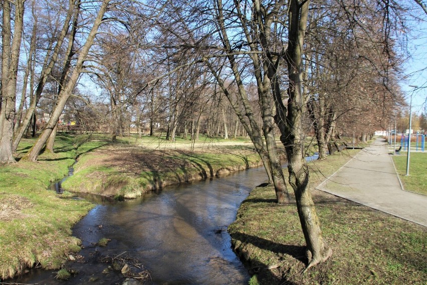 Od wiosny nie ma odwrotu. W Horyńcu Zdroju widać ją bardzo dobrze