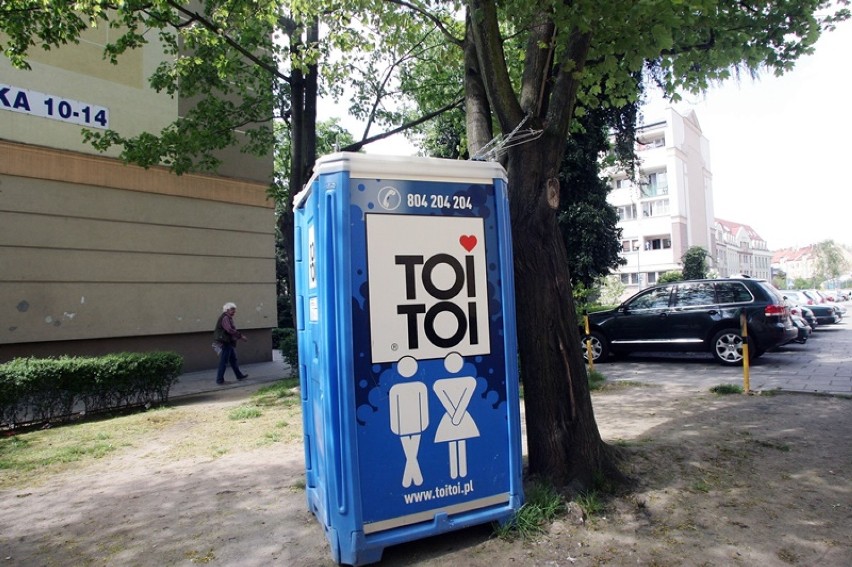 Przenośna toaleta przykuta łańcuchem do drzewa w Legnicy [ZDJĘCIA]