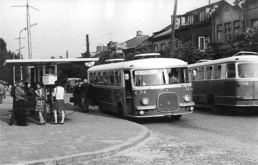 Transport publiczny w Ostrowcu Świętokrzyskim narodził się w...