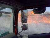 Pożar zboża w Mierzynie i Osiekach [ZDJĘCIA, VIDEO]