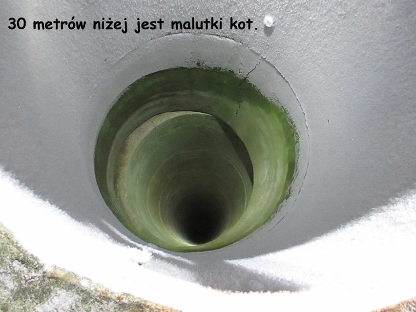 Bogusławice Kolonia: Strażacy wydobyli kotka z 35-metrowej studni [FILM,ZDJĘCIA]