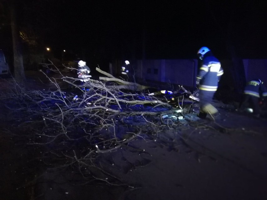 Powiat cieszyński: trwa usuwanie skutków nocnej wichury (ZDJĘCIA)