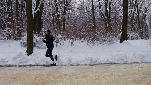 Zimowy Bieg Wedla w Parku Skaryszewskim