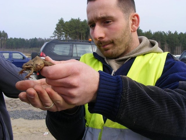 Szymon Fitzkowski stara się ratować żaby przed zagładą