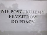 Problem bezrobocia wśród wykształconych fachowców ujawnia się