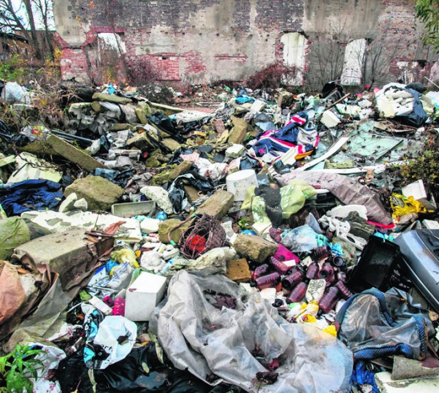 Teren przy ulicy Siedleckiej jest zasypany śmieciami różnego pochodzenia, głównie poremontowymi, ale nie tylko