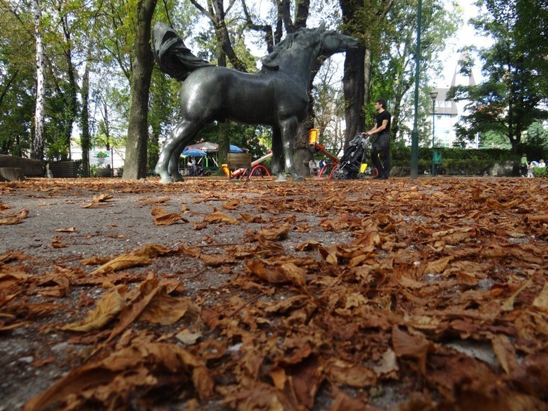 Stare Zoo Poznań - ostatnie dni lata