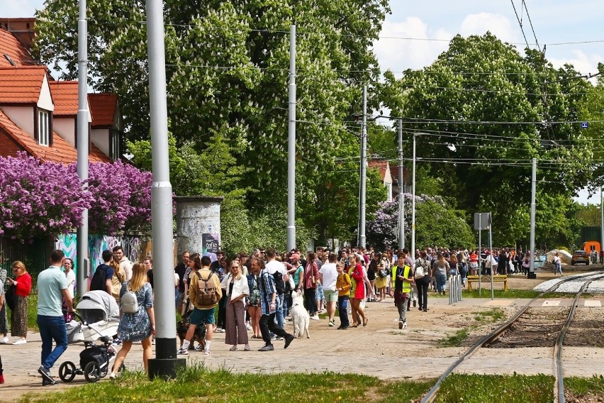 Mnóstwo ludzi na Festiwalu Roślin we Wrocławiu. Co i za ile można kupić na kiermaszu [ZDJĘCIA]
