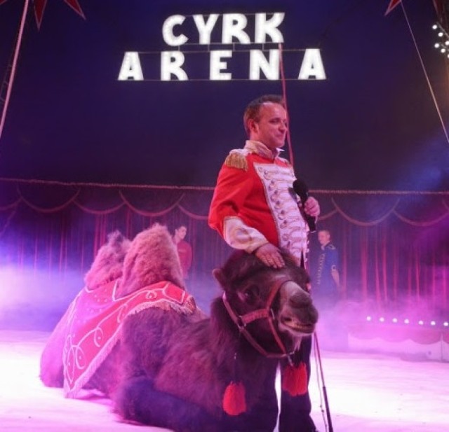 Cyrk Arena