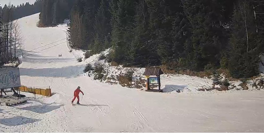 Stacja Ostoja Koninki w Porębie Wielkiej otwarta mimo obostrzeń. Narciarze korzystają z jedynego otwartego stoku [ZDJĘCIA]