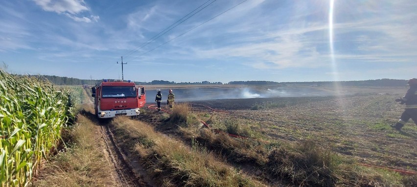 W piątek 30 lipca doszło do dużego pożaru na polach...